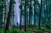 【画像素材】雷雨の中、森の中で迷子になった人物