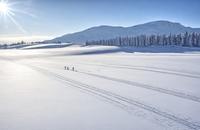 【画像素材】雪原を横断するクロスカントリースキーのチーム