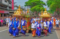 【画像素材】活気のある神輿が練り歩く