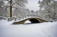 【画像素材】雪に覆われた橋の静寂