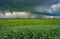 【画像素材】嵐の後に草原に満ちる雨粒