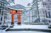 【画像素材】雪が積もった鳥居のある寺院