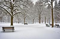 【画像素材】雪に覆われた公園の静寂