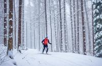 【画像素材】雪の降りしきる森の中でクロスカントリースキーをする男性