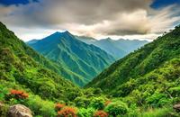 【画像素材】緑豊かな植生と多様な動物が生息する山脈