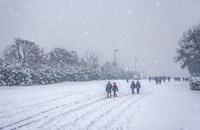 【画像素材】雪が降りしきる中を歩く人々