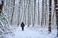 【画像素材】雪道を散歩