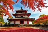 【画像素材】紅葉をバックにそびえ立つ、静寂に佇む古寺