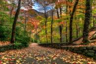 【画像素材】山間の道に散りばめられた落ち葉を踏む紅葉狩りの絶景