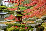 【画像素材】苔むした石灯篭と紅葉の枝の近景