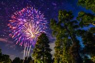 【画像素材】木々の間から打ち上がる花火が夜空を彩る