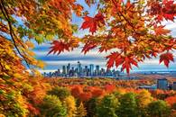 【画像素材】紅葉した木々を背景に浮かぶ高層ビル群