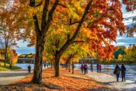 【画像素材】紅葉した川岸を散策する紅葉狩りの人々