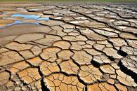 【画像素材】湿地帯の荒れ地で水たまりが干上がり、ひび割れた大地