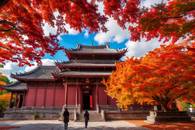 【画像素材】紅葉に包まれた寺で紅葉狩りする人