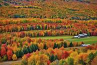 【画像素材】紅葉が織りなすモザイクのような景色