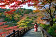 【画像素材】紅葉に囲まれた和装の女性が佇む紅葉狩りの絶景