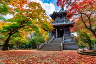 【画像素材】紅葉に覆われた寺社を参拝する紅葉狩りの絶景