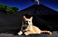 【画像素材】ネコと火山