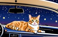 【画像素材】ネコが車に乗っている
